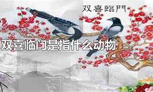 双喜临门指什么动物_双喜临门指什么动物生肖