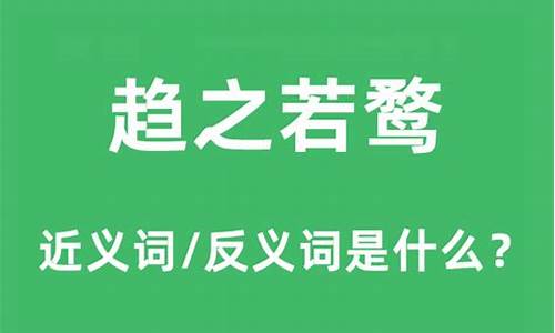 趋之若鹜和好高骛远的意思_趋之若鹜和好高骛远的意思一样吗