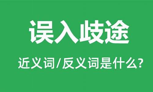 误入歧途的歧是什么意思_误入歧途的歧是什么意思啊